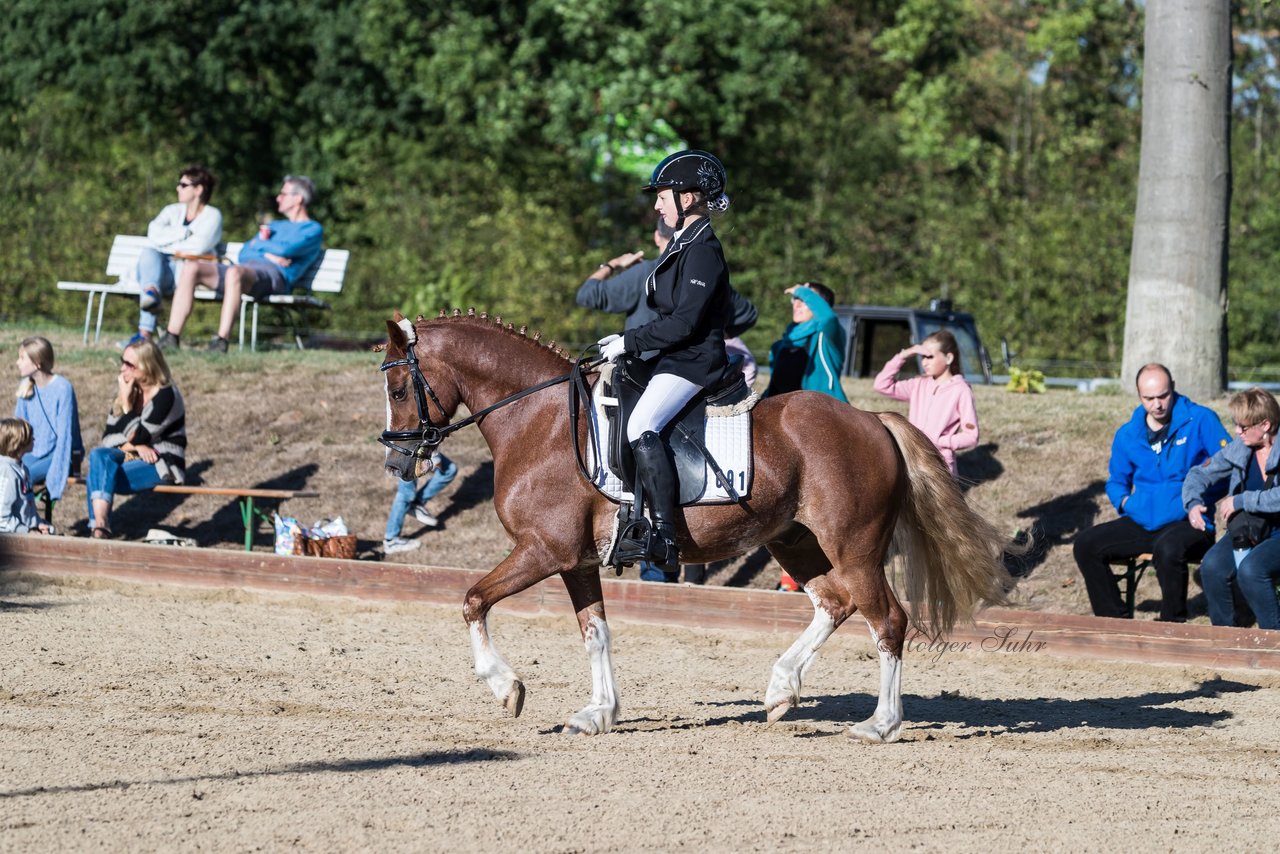 Bild 134 - Pony Akademie Turnier